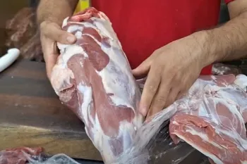 تشخیص گوشت بره از گوشت میش سن سال دار / نکات کاربردی برای تشخیص گوشت خوب