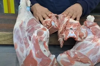 انتخاب بهترین گوشت قرمز برای خورشت / کدام قسمت گوشت گوسفند برای خورشت بهتر است