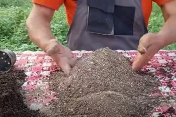 نحوه ساخت خاک باغچه و گلدان / خاک باغچه را اینجوری درست کنید