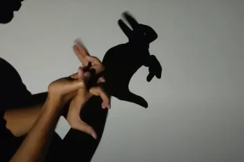 سایه بازی با دست آسان شکل حیوانات / سایه بازی برای کودکان