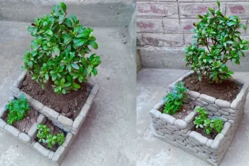 ساخت گلدان خلاقانه سیمانی ایده ای جالب / ساخت صنایع دستی سیمانی