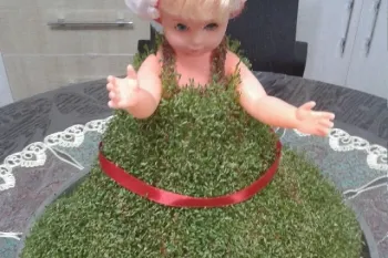 آموزش درست کردن سبزه عروسکی / سبزه سفره هفت سین
