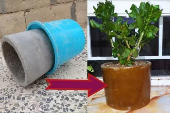 ساخت گلدان سیمانی از وسایل ساده با سطل پلاستیک و ماسه!