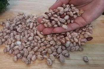 اگه بدونی چقدر خوشمزس مطمئنم هر روز همین غذا رو درست میکنی بدون گوشت ولی ۱۰۰۰ برابر خوشمزه تر!