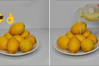 صفر تا صد نگهداری آبلیمو طبیعی و لیمو تازه برای مدت طولانی / فرق بین لیموهای سبز و زرد و طرز استفاده