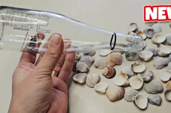 ساخت کاردستی خلاقانه با صدف و بطری شیشه ای!
