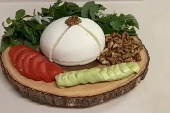 دستور تهیه پنیر خانگی نرم و لذیذ بدون مواد ، نگهدارنده!