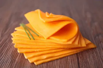 طرز تهیه پنیر ورقه ای خانگی ارزان و خوشمزه!