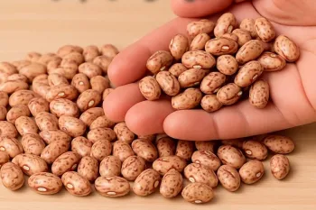 با یه مشت لوبیا و ۳ تا سیب زمینی فکر نمیکردم همچین چیزی در بیاد غذای خوشمزه و آسون و گیاهی!