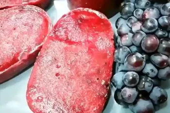 طرز تهیه بستنی یخی میوه ای / طرز تهیه بستنی خانگی