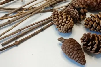 ساخت دکوری زیبا با مخروط کاج و شاخه های درخت!