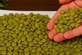 خدایا چقدر خوشمزست و با یه مشت عدس غذای خوشمزه و پر پروتئین درست کن !