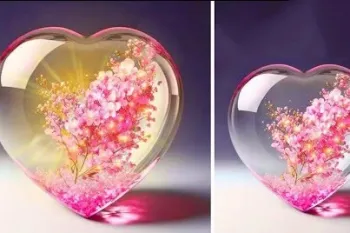 ایده های خلاقانه برای دکور اتاق با بطری پلاستیکی!