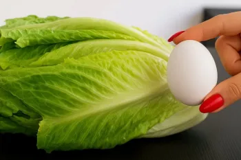 شاهکار کاهو و تخم مرغ و یه لقمه بخوری نمیتونی متوقفش کنی و هفته ای دو بار درستش می کنم!