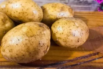 وقتی فقط سیب زمینی داریم من این غذای ساده و سریع با سیب زمینی را درست میکنم!