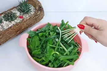نگهداری سبزی خوردن برای مدت طولانی تر / چگونه سبزیجات و میوه را با همان تازگی و کیفیت نگهداری کنیم