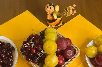 ترشی آلو و آلبالو / ترشی خونگی خوشمزه ترش و وسوسه کننده