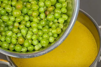 راز درمان کبد چرب با آبغوره خانگی / طرز تهیه آبغوره بدون نمک و ساده در خانه