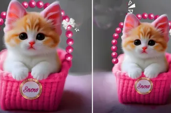 ساخت کاردستی گربه با پلاستیک برای دکوراسیون منزل!