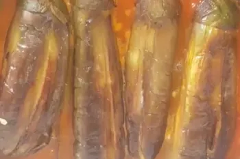 بادمجانی که همه را دیوانه می کند با لیمو از گوشت خوشمزه تر است!