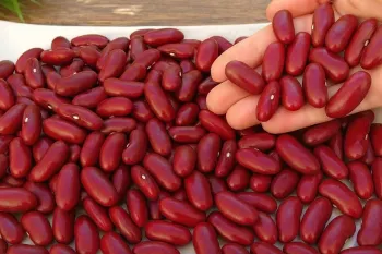 با لوبیا قرمز معجزه کن و یک غذای خوشمزه و ساده!