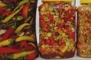 آموزش ترشی فلفل خانگی آسان : راز ترشی فلفل تند خوشمزه ایی که همه دنبالشن