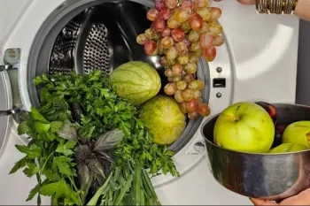 ۱۵ روش فوق العاده کاربردی نگهداری طولانی مدت میوه و سبزیجات / راه رسیدن و شیرین شدن انواع میوه