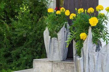 ساخت گلدان سیمانی با بادکنک و پارچه؛ یک کاردستی شیک و کم هزینه برای خانه