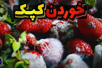 اگر کپک بخوریم چه اتفاقی میفته؟!