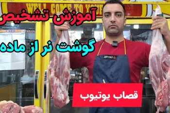 آموزش تشخیص و انتخاب گوشت نر از ماده گوسفند در قصابی !