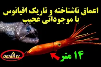 بشر هنوز ۹۵% اعماق اقیانوسها را نمیشناسد/ دنیایی تاریک و مرموز با موجوداتی عجیب!