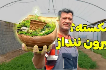 تبدیل گلدان شکسته به یک اثر هنری | ایده خلاقانه برای کاشت مجدد گلدان !
