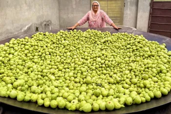 پخت کدو به سبک مادربزرگ هندی!
