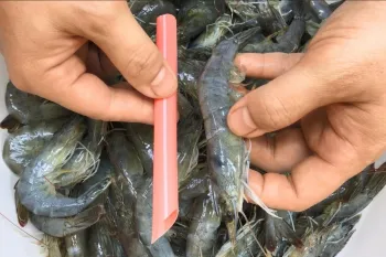 چگونه فقط با یک نی، پوست و رگ میگو را به سرعت جدا کنیم!
