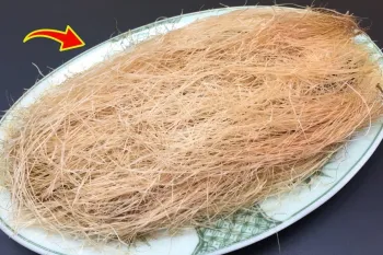 تاج بلال یک گنج است. آن را دور نیندازید!