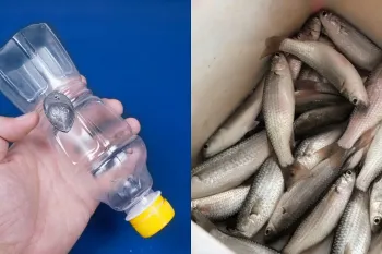 چگونه با بطری پلاستیکی تله ماهی بسازیم!