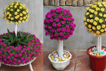 ایده های خلاقانه باغچه کوچک با لوله های پی وی سی | باغچه گل خزه ای دست ساز برای فضاهای کوچک!