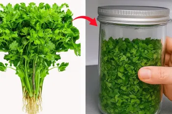 از گذاشتن گشنیز در یخچال دست بردارید / گشنیز را برای یک سال تازه نگه دارید ! (راز سرآشپز)