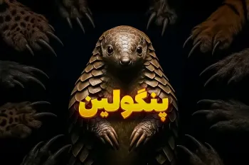 چرا پنگولین شکار شدنی نیست؟ حیوانی با زره آهنی و زبانی به اندازه بدنش!