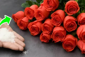 ۱۴ ترفند خانگی باورنکردنی برای آسان تر کردن زندگی!