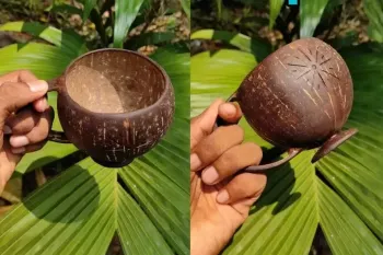 آموزش ساخت فنجان قهوه با پوسته نارگیل برای با سلیقه ها !