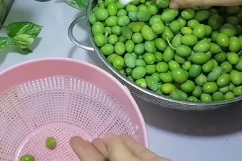 از بین بردن تلخی زیتون : بهترین روش برای گرفتن تلخی زیتون تازه !