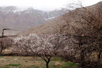 آشنایی با جاذبه های گردشگری و مکان های دیدنی منشاد یزد