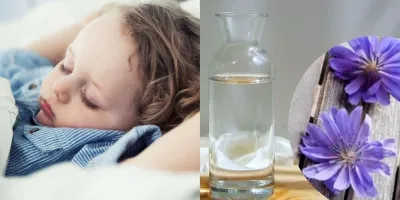 فواید و نحوه مصرف