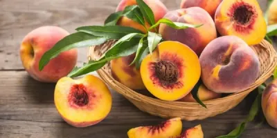 هلو برای افراد