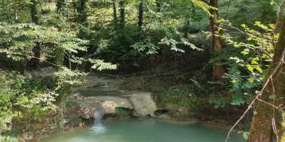جنگل لفور مازندران