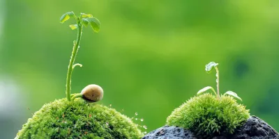 11 مزیت دارویی و