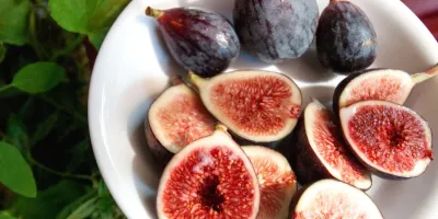فواید انجیر برای