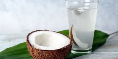 نقش نارگیل در