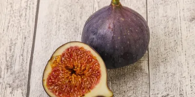 تاثیر انجیر بر